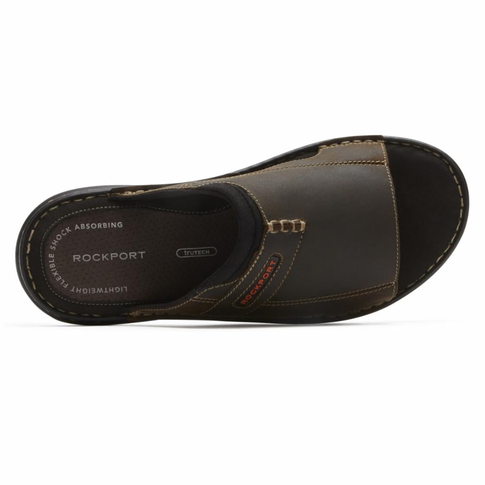 Rockport slides hot sale mens